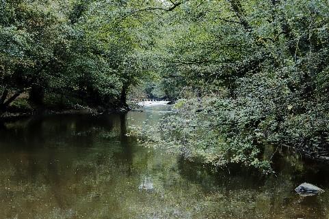 La Creuse à Fresselines